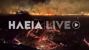 Υπό έλεγχο η φωτιά στο Καβούρι: Εκκενώθηκαν περιοχές - Οι φλόγες "έγλειψαν" τα πρώτα σπίτια