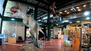 Εκπαιδευτικά προγράμματα για τα σχολεία στο Μουσείο Φυσικής Ιστορίας 