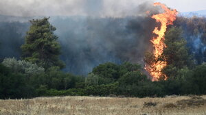 Συνολικά 30 δασικές πυρκαγιές εκδηλώθηκαν το τελευταίο 24ωρο σε όλη τη χώρα