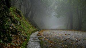 Καιρός: «Φθινόπωρο από τα παλιά με ζακέτα και ομπρέλα» – Έρχονται βροχές, ψύχρα και πτώση της θερμοκρασίας