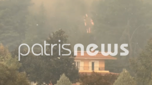 Πύρινη κόλαση στο Γεράκι Αμαλιάδας - Mία ανάσα από σπίτια οι φλόγες