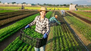 Γυναίκες στη γεωργία- Νέα ψηφιακή πλατφόρμα