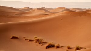 Κλιματική αλλαγή: Άρχισε να "πρασινίζει" η έρημος Σαχάρα!