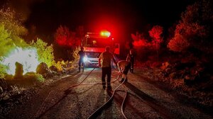 Υπό μερικό έλεγχο η πυρκαγιά στον Αλίαρτο Βοιωτίας