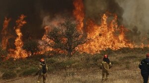 Συντονιστική σύσκεψη υπό τον Β. Κικίλια για τη φωτιά στο Γεράκι Ηλείας