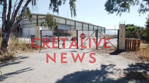 Γεμάτος αδέσποτα σκυλιά ο χώρος των πρώην σφαγείων στο Αρκαλοχώρι!