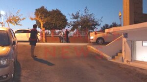 Εντοπίστηκε το σκυλί που δάγκωσε τη 14χρονη μαθήτρια