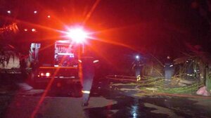 Κινητοποιήθηκε η Πυροσβεστική για τη φωτιά στα καλάμια