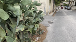 Περνάνε από "παγίδες" για να μπουν στο σχολείο