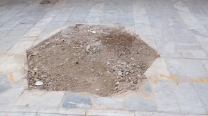 Κόβονται τα δέντρα που... εμποδίζουν βιτρίνα;