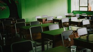 Ποιοι εκλέγονται στα υπηρεσιακά συμβούλια των εκπαιδευτικών- Όλα τα ονόματα