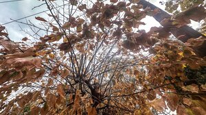 Εξασθενούν οι άνεμοι, ανεβαίνει η θερμοκρασία την Τετάρτη στην Κρήτη