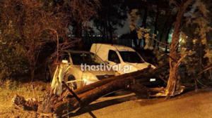 Κακοκαιρία Bora: Πτώσεις δέντρων στο κέντρο της Θεσσαλονίκης – Ζημιές σε οχήματα