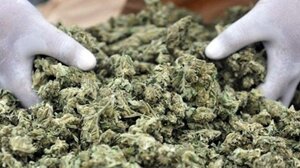 Σητεία: Μια σύλληψη για κάνναβη και... χάλκινο στρατιωτικό μετάλλιο