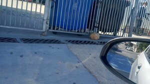 Γυμνάσιο Αρκαλοχωρίου: Ως την άνοιξη του 2025 θα έχει κατεδαφιστεί το σεισμόπληκτο κτήριο