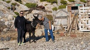 Από την Κρήτη στην Κίναρο: Βρέθηκε το γαϊδουράκι που ήθελε η κυρά Ρηνιώ