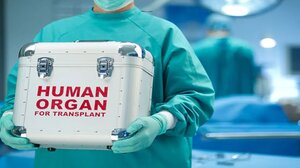 Ερυθρός Σταυρός: Δώρα ζωής για δύο ασθενείς μετά από σημαντική δωρεά οργάνων