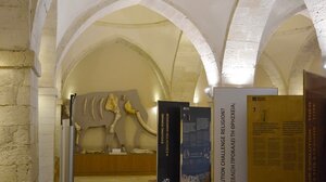 Podcast: Όταν στην Κρήτη ζούσαν λιοντάρια και ρινόκεροι!