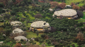 Ανακαλύψτε τις… πίτες της Γριάς στον Πρινιά!