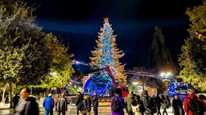 Φωταγωγείται το χριστουγεννιάτικο δέντρο στο Σύνταγμα