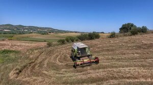 Κατέρρευσε στο χωράφι ο 51χρονος: Τον αναζητούσαν οι συγγενείς του