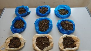 Σχεδόν 1 κιλό κάνναβης στα χέρια 21χρονου