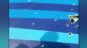 Νέα επικοινωνία Πούτιν – Αλίεφ για τη συντριβή του αεροσκάφους