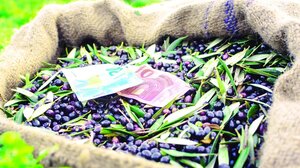 "Βροχή" τα προβλήματα για επιδοτήσεις, εξισωτική και αναδιανεμητική