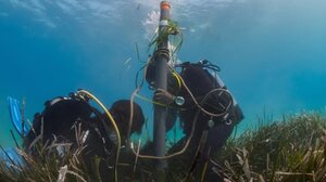 Σητεία: Αποκατάσταση των λιβαδιών της Ποσειδωνίας στον όρμο Ατζικιάρι