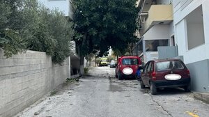 Καταμεσής του δρόμου ένα... δέντρο!