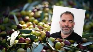 Οι προτάσεις Γαβαλά για τη στήριξη της αγοράς ελαιολάδου