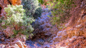 Δύο πεζοπορίες στο Μεραμπέλο για τον σύλλογο "Δρόμοι Ζωής"