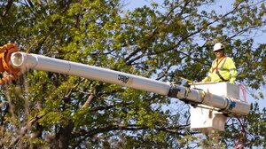 Εργασίες κλαδέματος στην οδό Κυδωνίας στα Χανιά