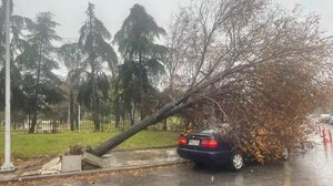 Κακοκαιρία Bora: 1.660 κλήσεις δέχθηκε το Σαββατοκύριακο η Π.Υ. στην Κεντρική Μακεδονία