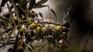 «Η Κρήτη μπορεί να γίνει περιβόλι»- Έτσι θα λυθεί το πρόβλημα της διψασμένης γης- video