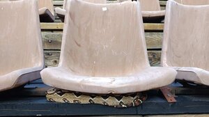 Βόας βρέθηκε κάτω από κάθισμα σε θέατρο στου Φιλοπάππου!