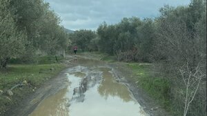 Μια όαση στην μέση της ερήμου του Δήμου Αρχανών Αστερουσίων..