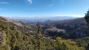 Σύλληψη στο Μαρκόπουλο για εκτέλεση θερμών εργασιών κοντά σε δασική έκταση