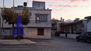 Κάποιος ξέχασε να ξεστολίσει το Χριστουγεννιάτικο δέντρο