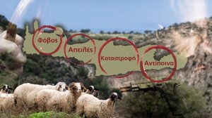 ΕΛ.ΑΣ: οργανωμένο σχέδιο για τα παραβατικά πρόσωπα στις «κόκκινες» περιοχές της Κρήτης