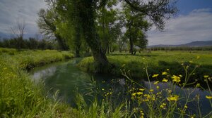 Ανακάλυψε τον Αποκόρωνα!