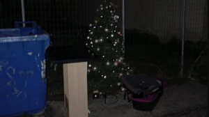 Οι γιορτές πέρασαν, το δέντρο ... στα σκουπίδια!