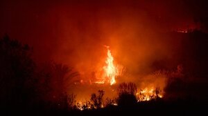 Φωτιές στο Λος Άντζελες: Δωρεά 15 εκ. δολ. από τη Disney για την αντιμετώπιση των συνεπειών