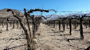 Οι ακραίες ξηρασίες θα γίνουν πιο συχνές, σοβαρές και εκτεταμένες