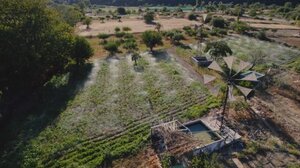 Αναγεννητική Γεωργία στο Οροπέδιο Λασιθίου από το Metaxa Hospitality Group - VIDEO 