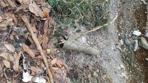 Θεσσαλονίκη: Λύματα τουαλέτας ταβέρνας έπεφταν σε ρέμα