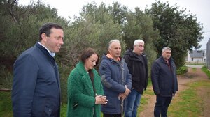 Παρουσία του Δημάρχου Αγίου Νικολάου η εθελοντική και εκπαιδευτική δράση ελαιοσυλλογής - Σε οικονομικά αδύναμους πολίτες το παραγόμενο ελαιόλαδο