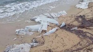 Χαλκιδική: Γεμάτη νάϊλον μια από τις πιο γνωστές παράλιες