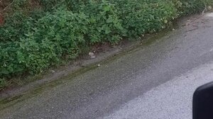 "Εδώ και 30 ημέρες τρέχουν τα νερά στο δρόμο"