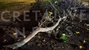 Έπεσε μεγάλο κλαδί δέντρου μέσα στο πάρκο Γεωργιάδη! - Φωτογραφίες